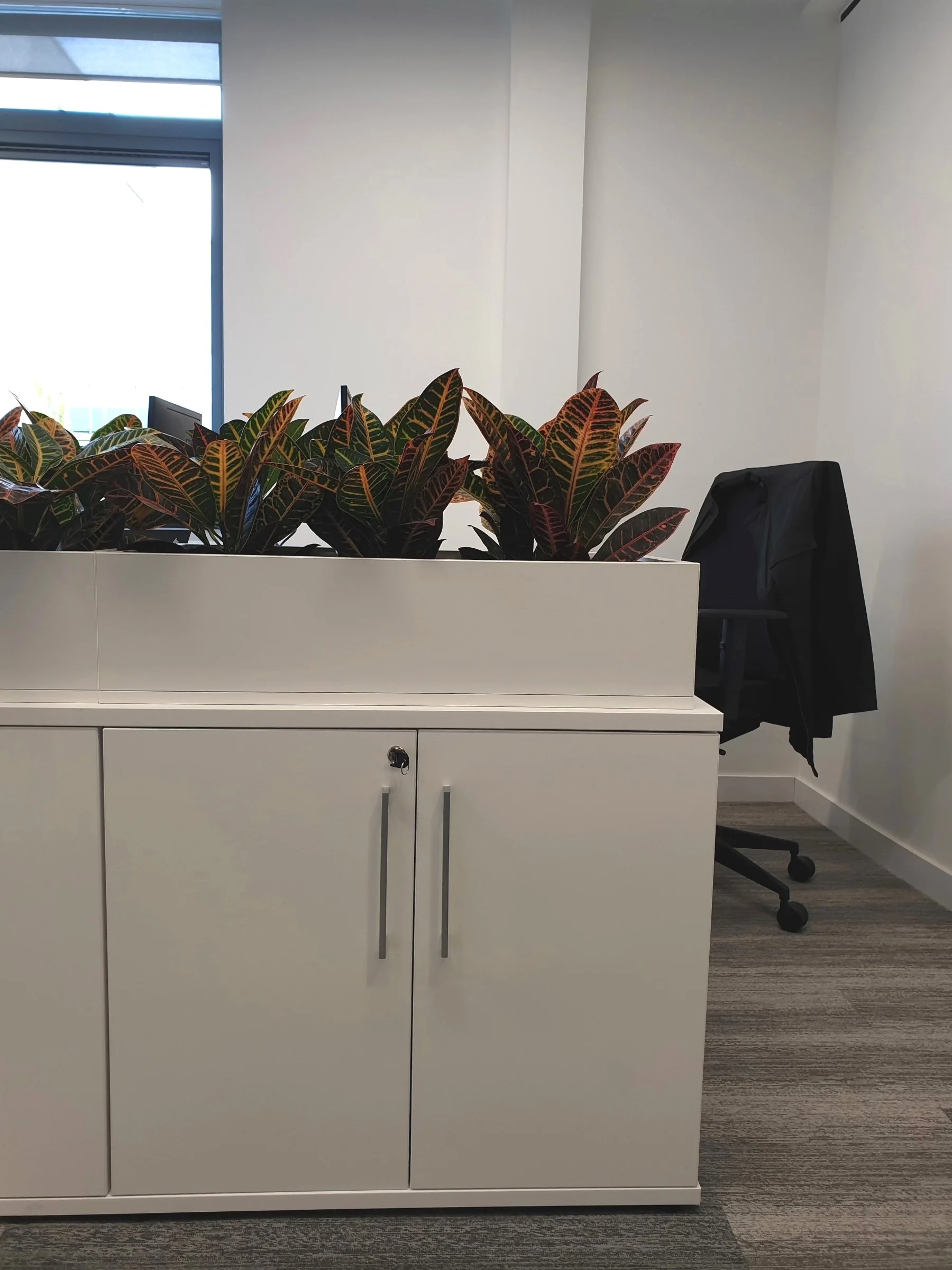 cabinet top planters.jpg