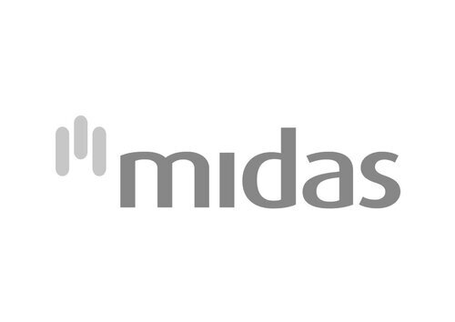 Midas.jpeg