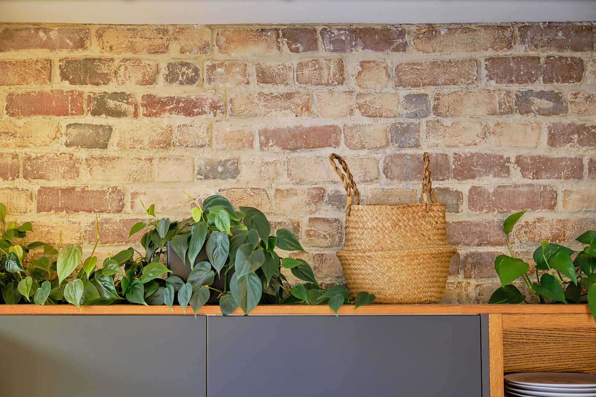 PlantCare(March2022)154_NMI_WEB.jpg