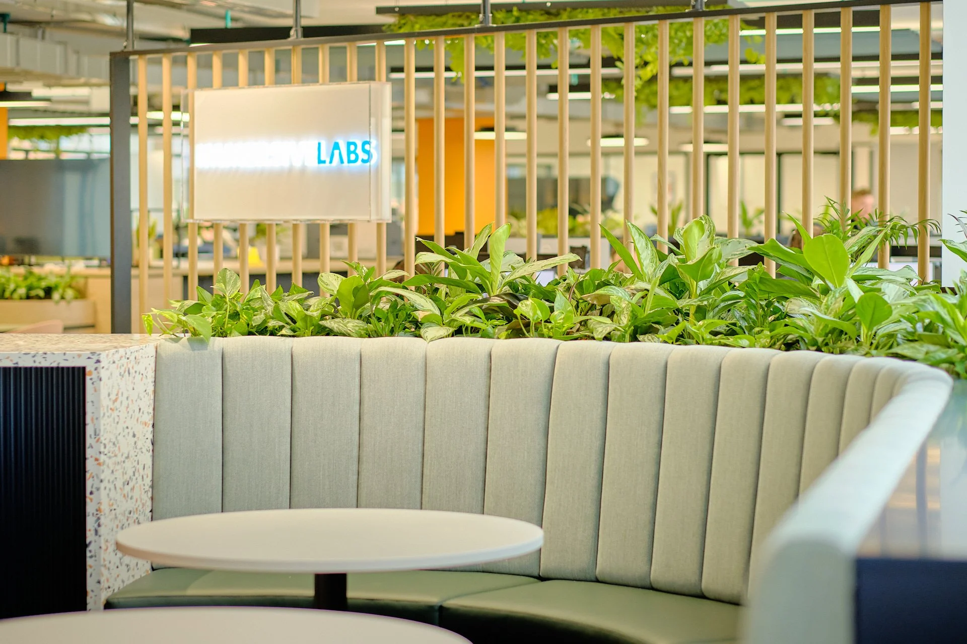 PlantCare(Feb2022)083_Immersive Labs_WEB.jpg