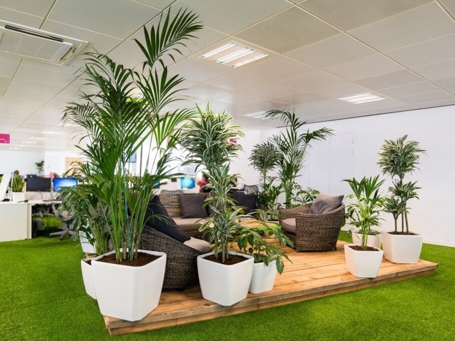 Biophilic%2Bdesign%2Binterior%2Bplants.jpg