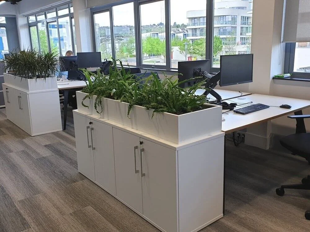 Internal Planting Indoor Plant Hire For Offices - PlantCare