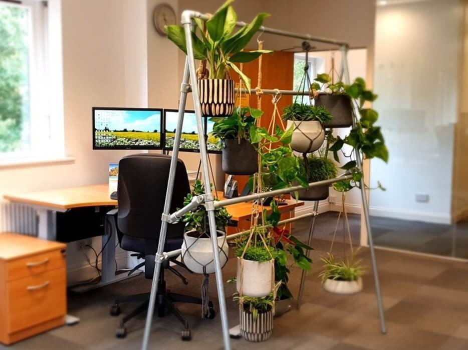 Office+divider+plant+green+screen.jpg