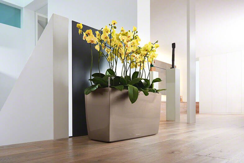 Orchid+bowl+hire+showroom.jpg