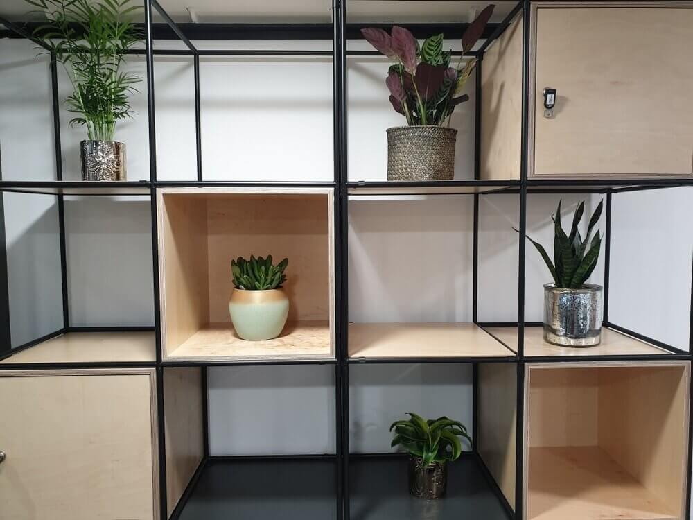 Small+Office+Plants.jpg