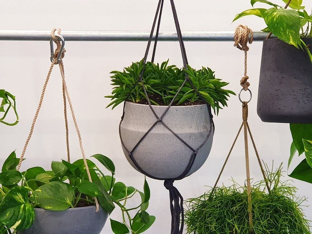 Hanging+Bowl+Planters (1).jpg