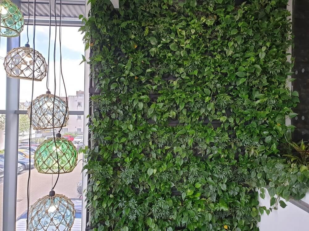 Green+Wall+(2) (1).jpg