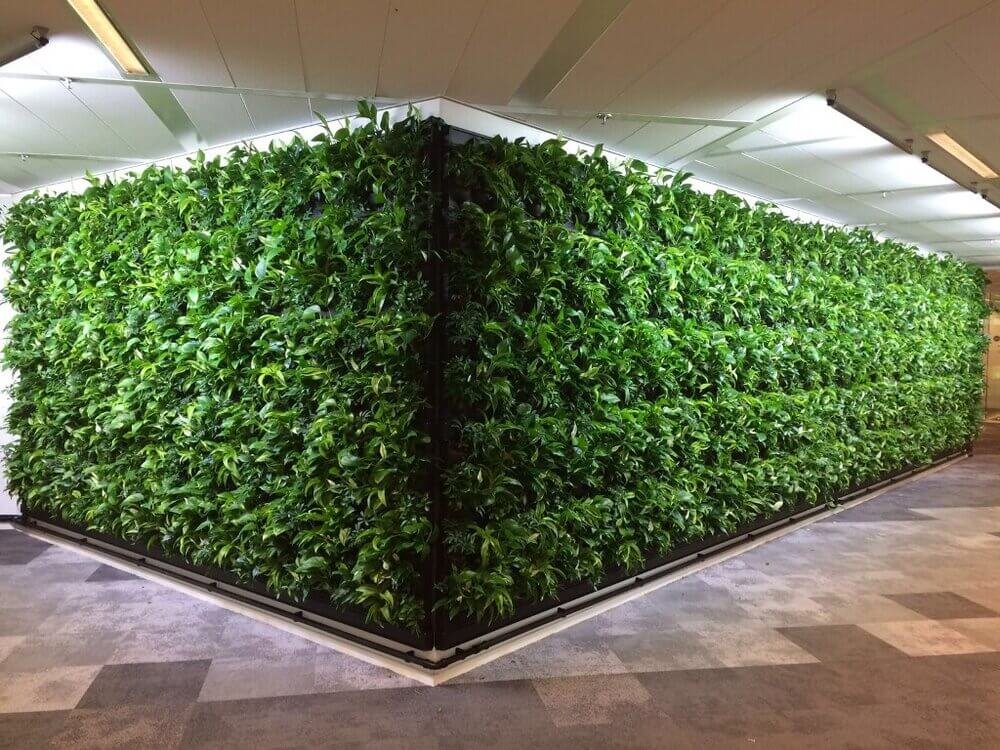 Interior+GreenWall (1).jpg