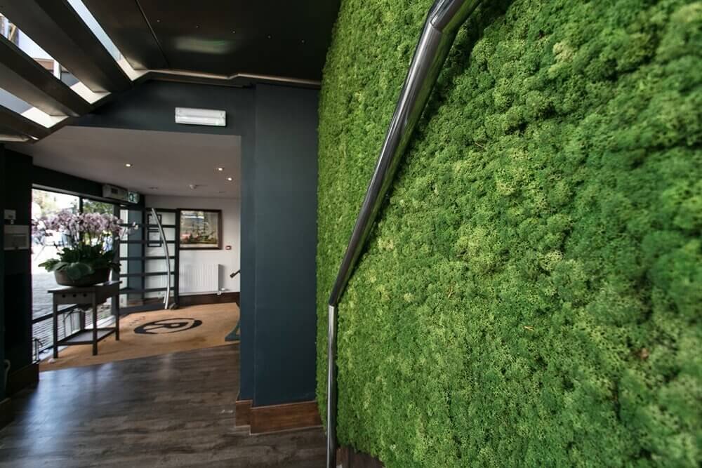 Moss+Wall+3 (1).jpg