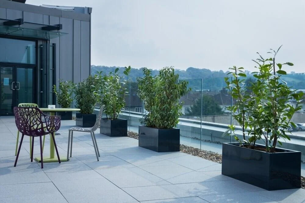 Exterior Plants for Offices - PlantCare