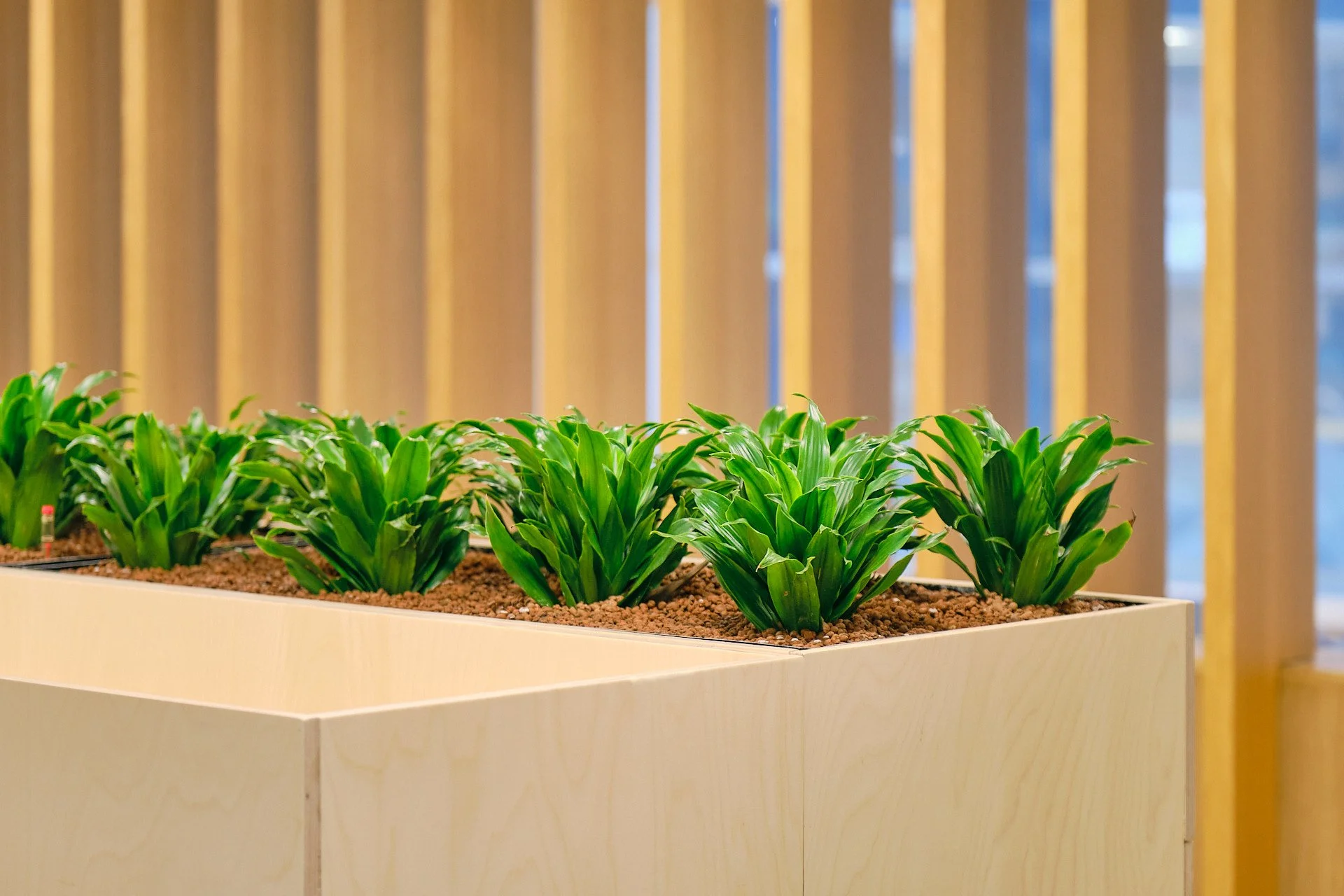 Hydroculture: What It Is and How It Works