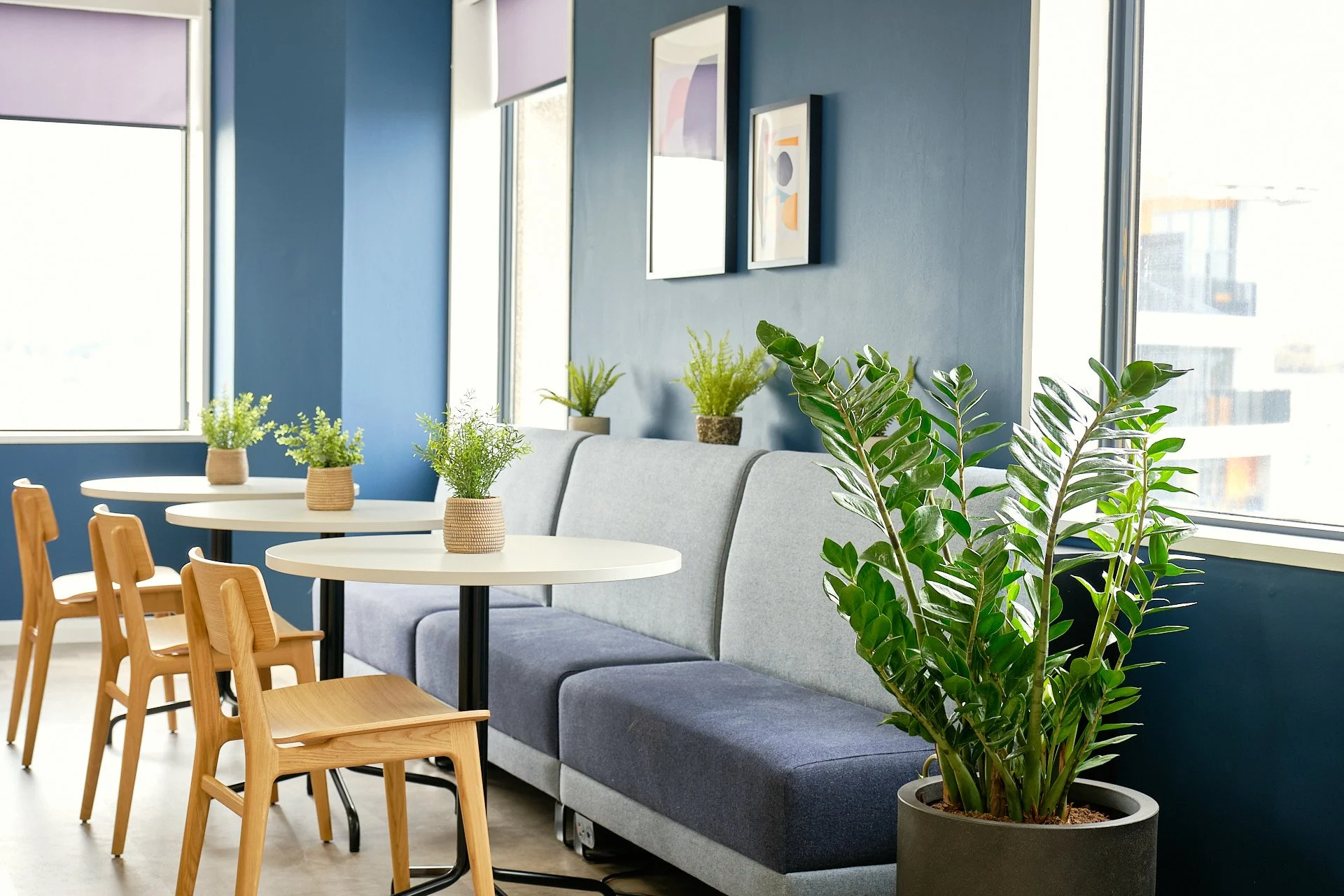 Choosing the best plant purchase options