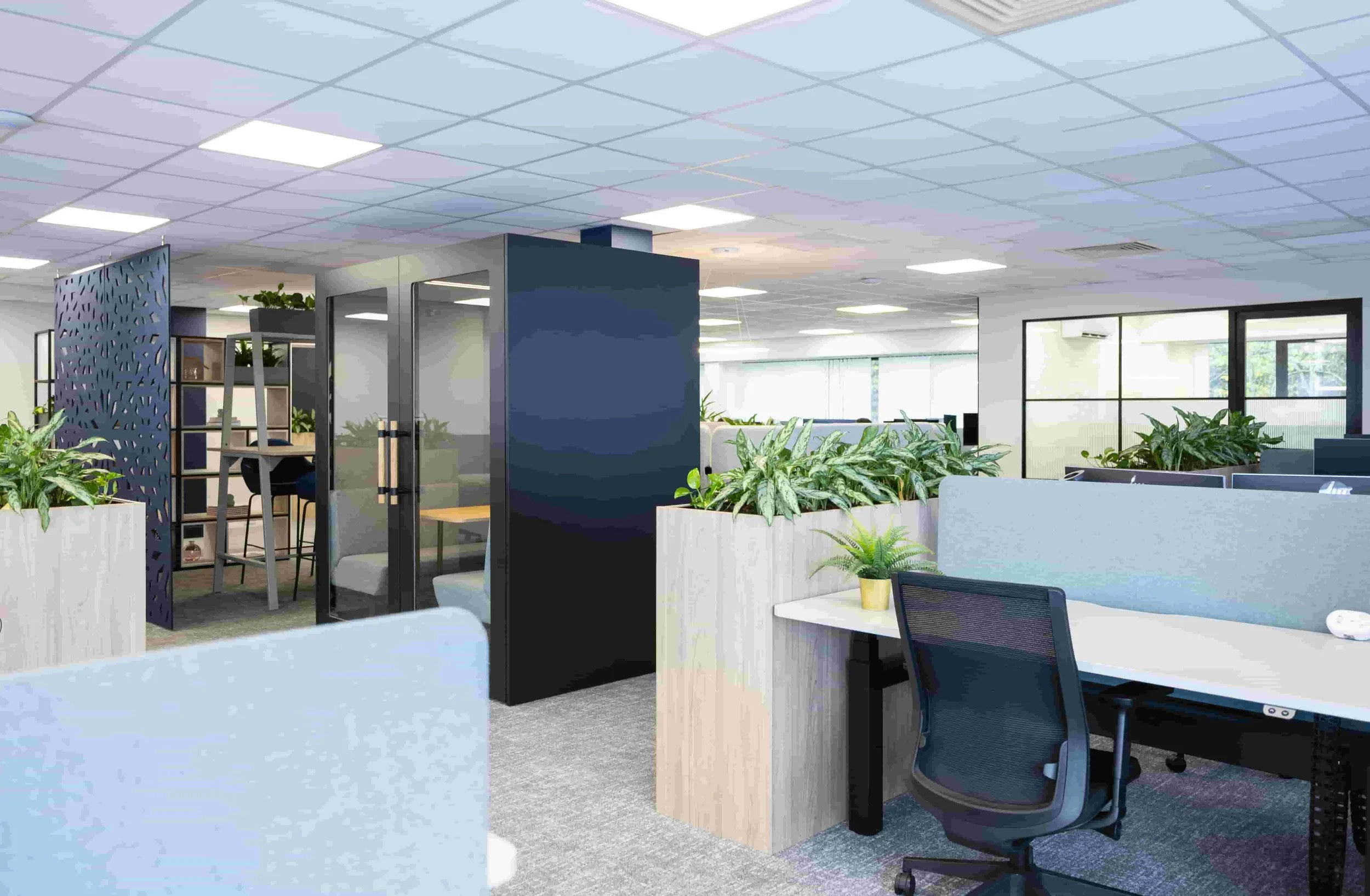 Rebecca Faith Photo-1123.jpg