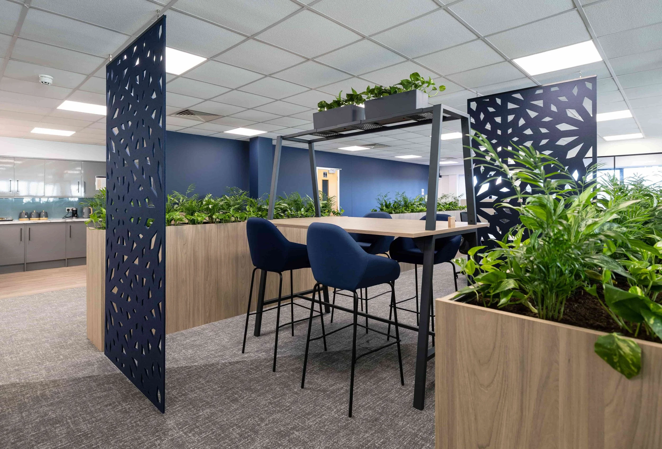 Rebecca Faith Photo-1091.jpg