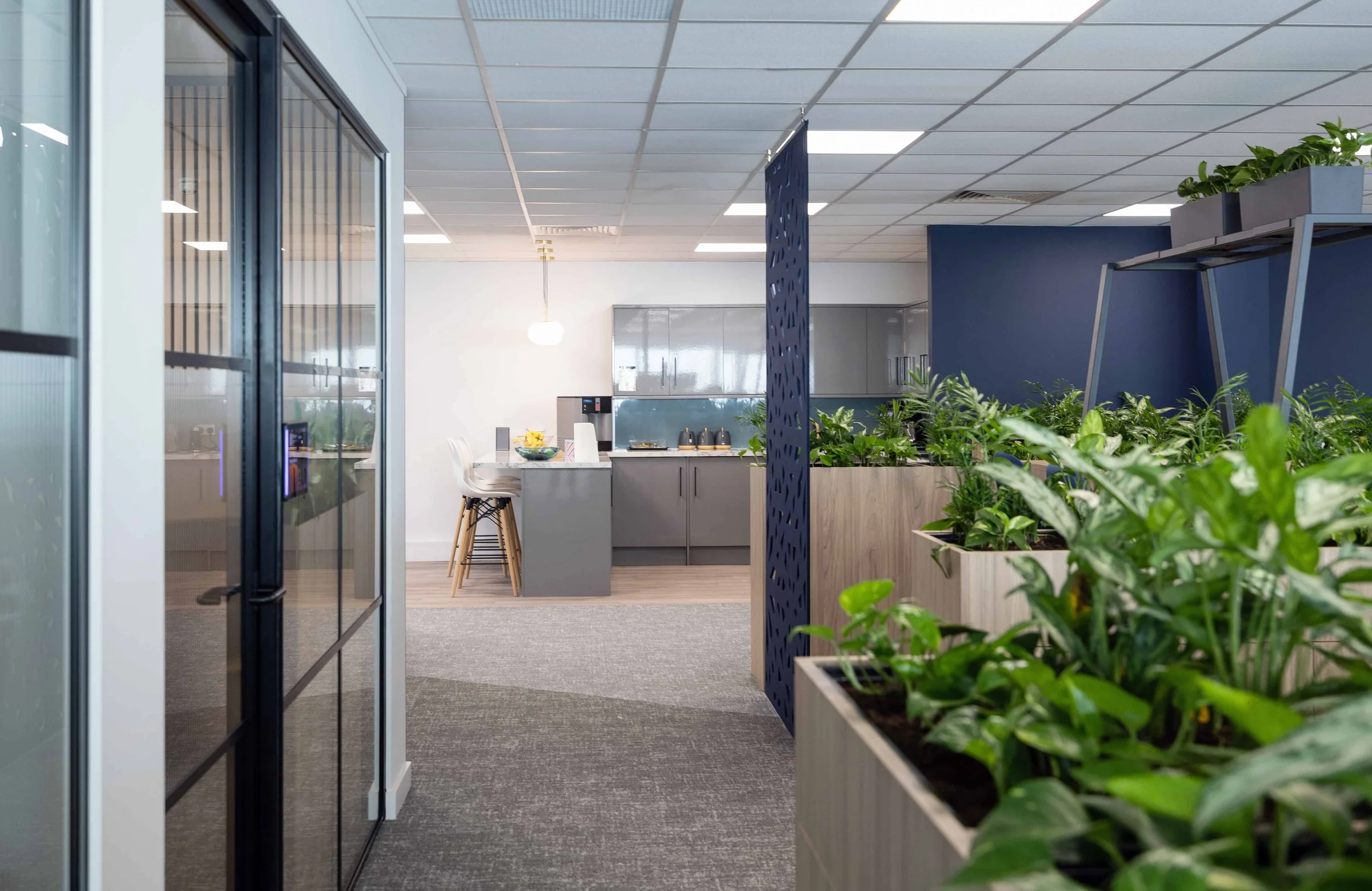 Rebecca Faith Photo-1092.jpg