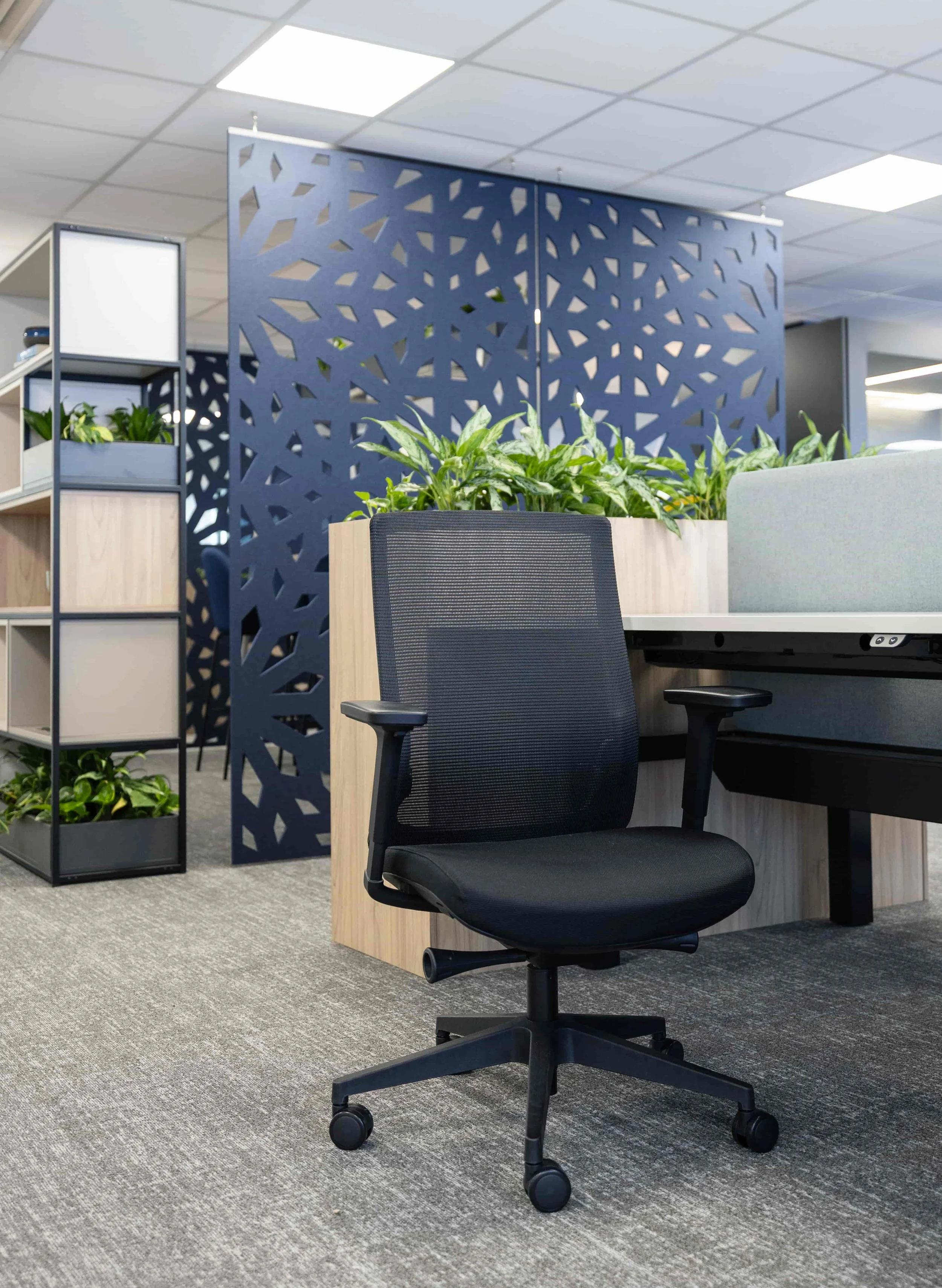 Rebecca Faith Photo-1119.jpg