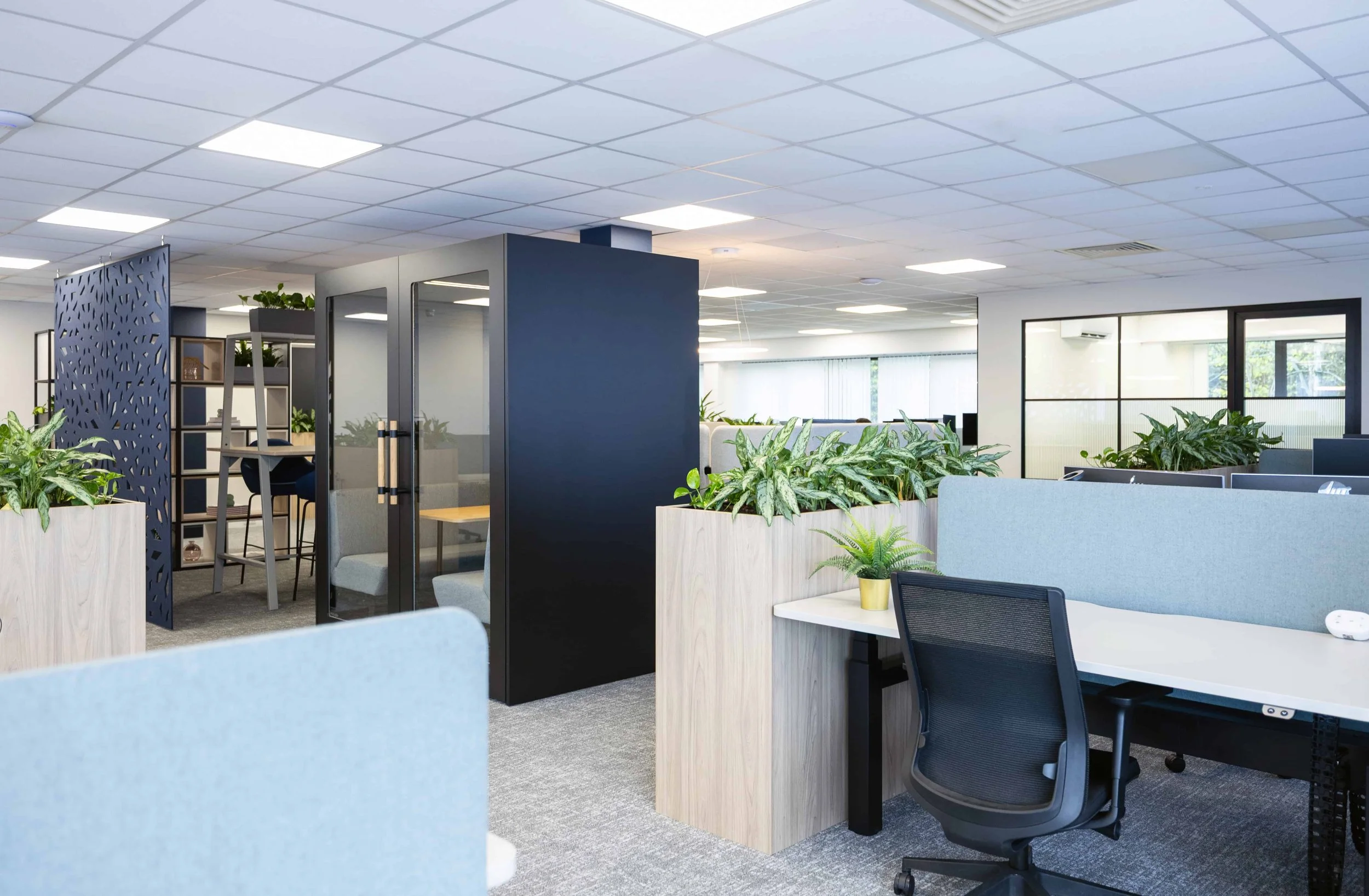 Rebecca Faith Photo-1123.jpg