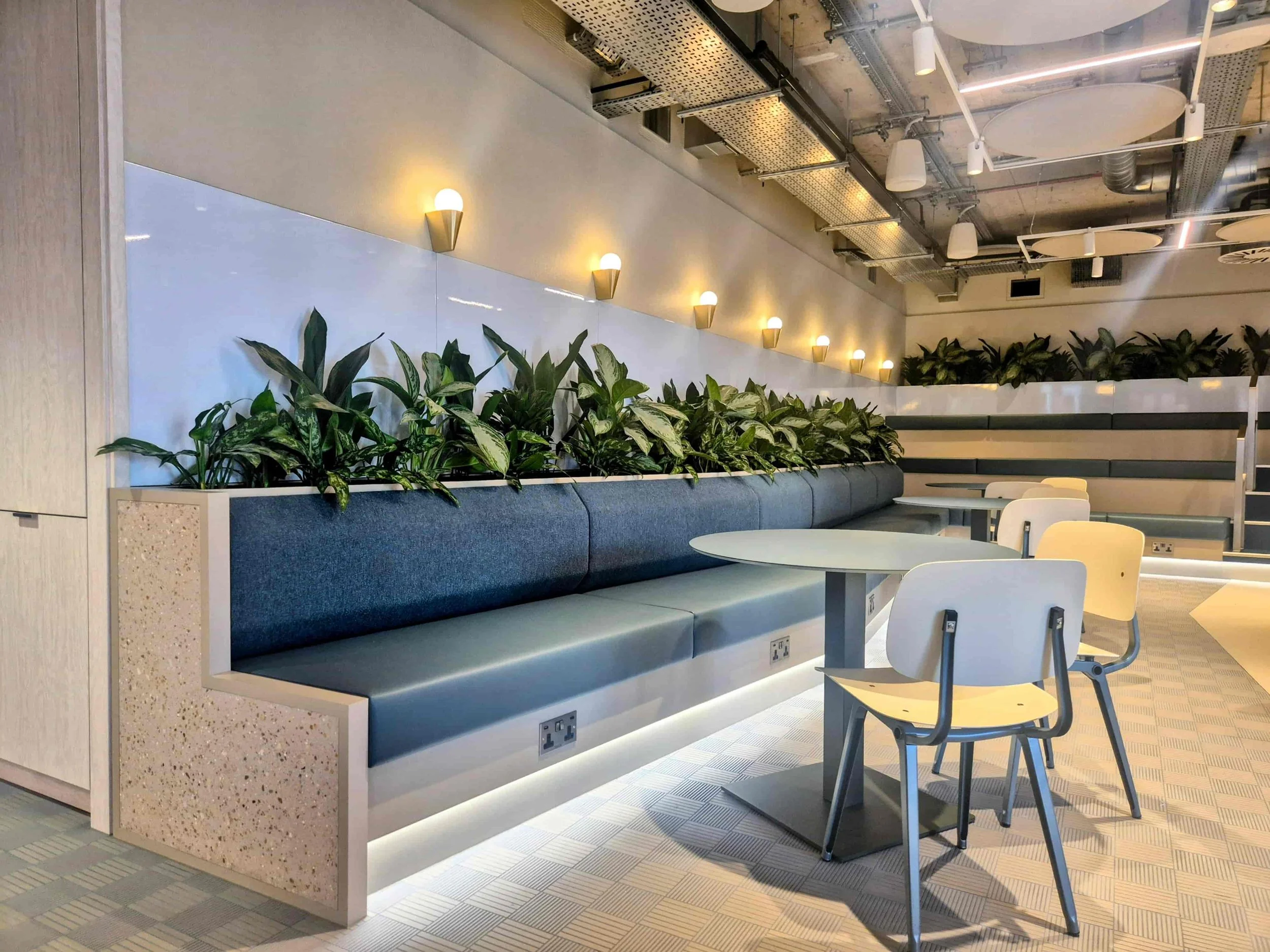 Commercial planting scheme integrated into office fit-out in London