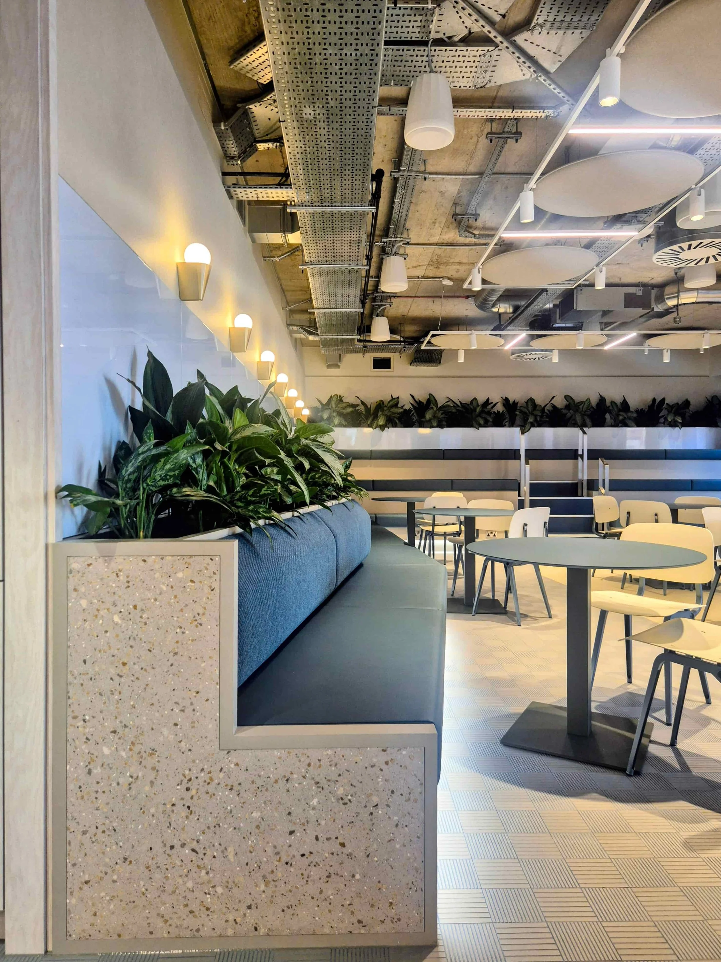 Close-up of healthy indoor office plants