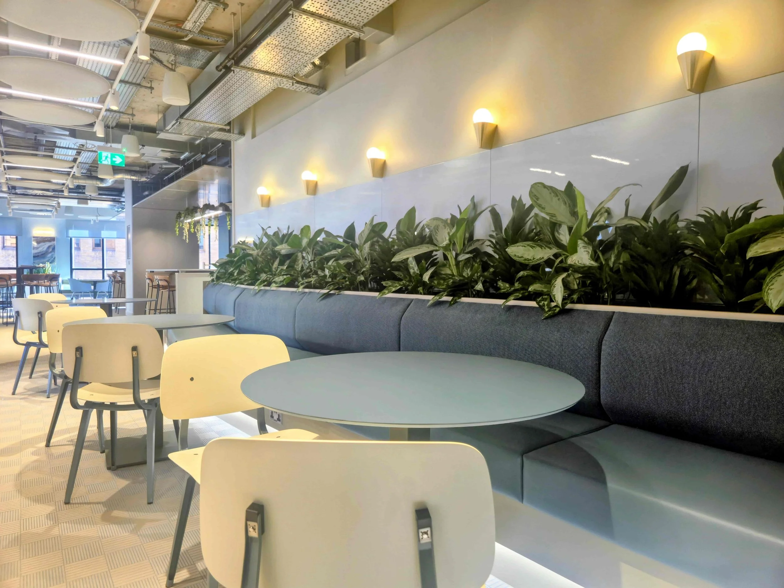 Detail of mixed plant species