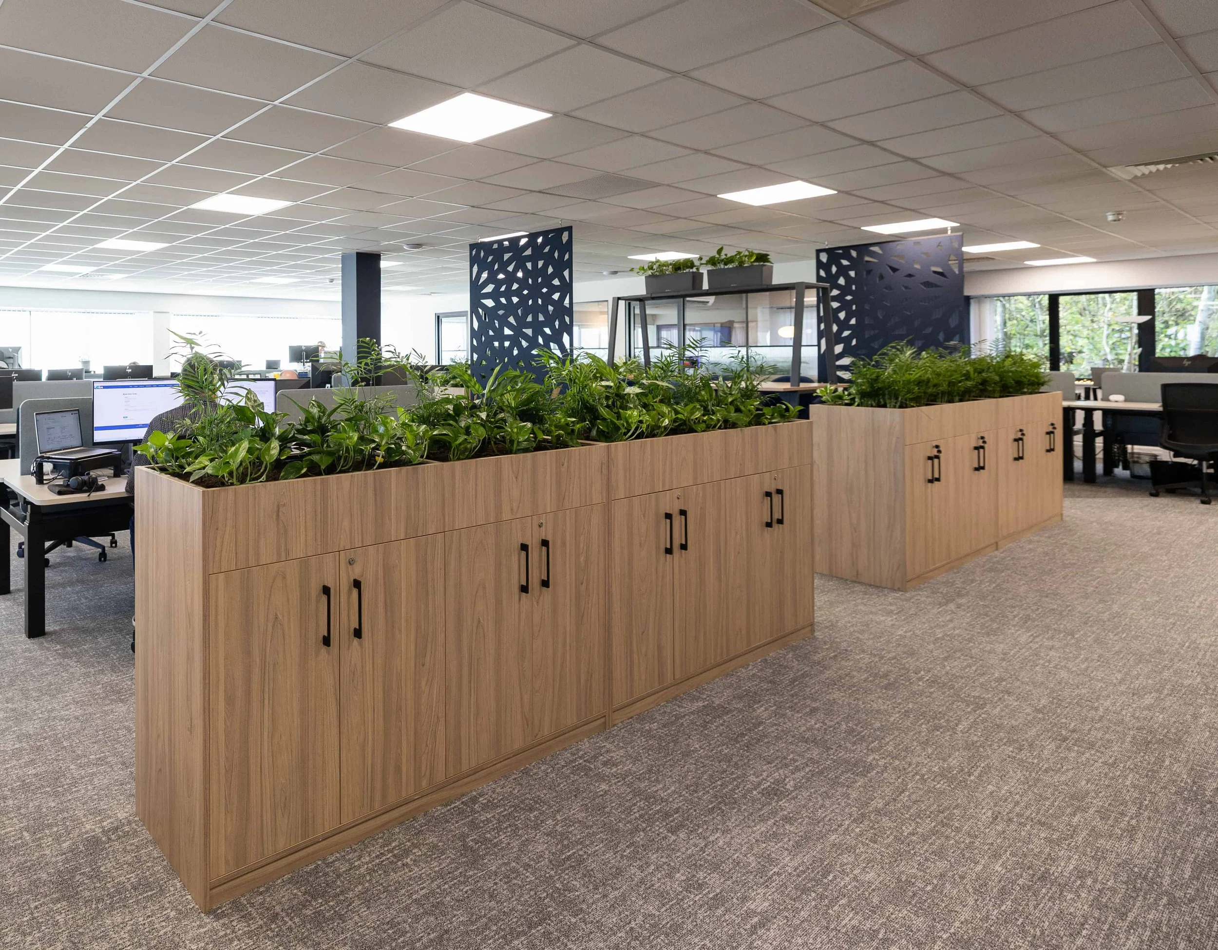 Joint Operations Plant Care interior planting case study