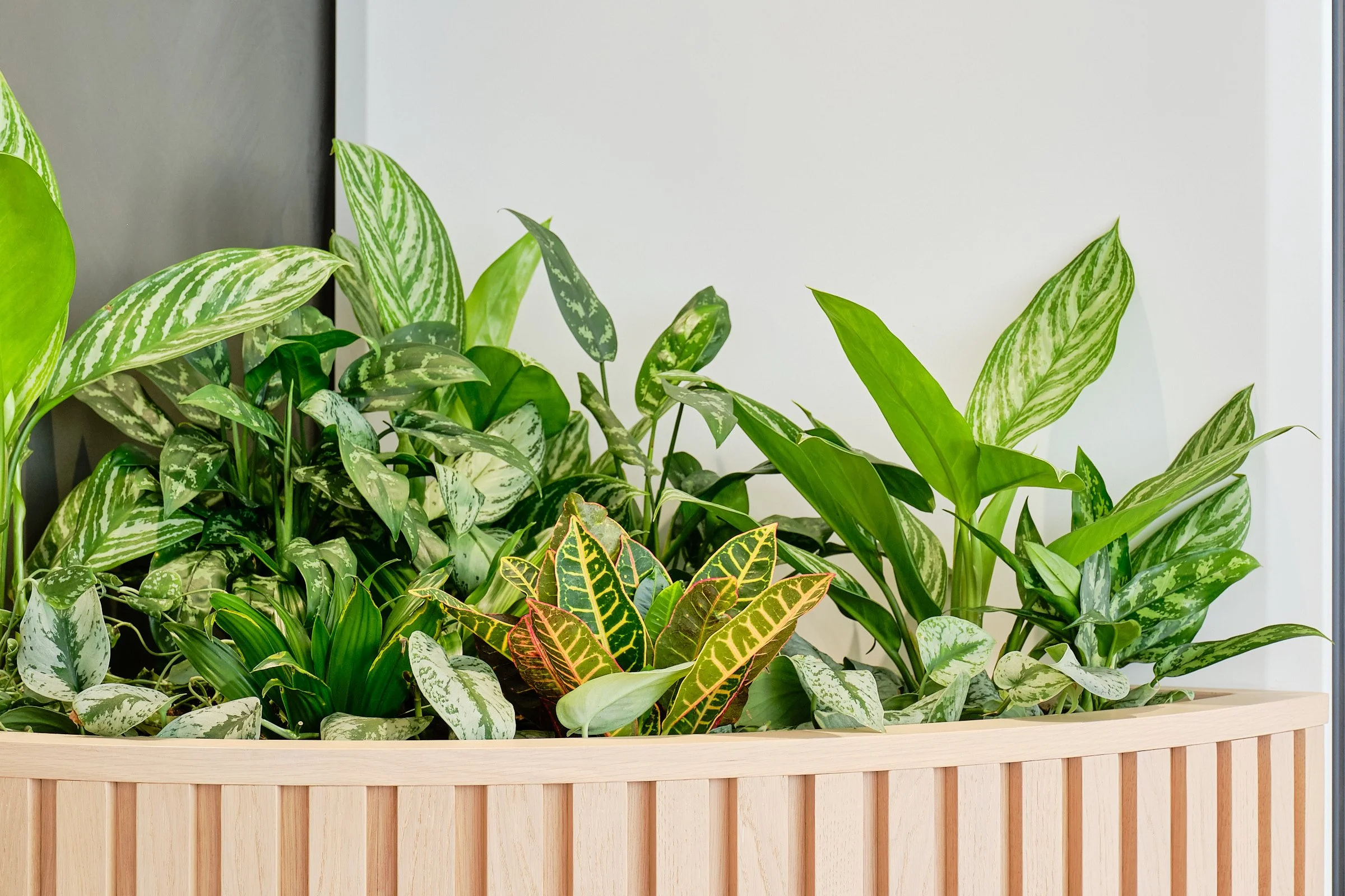 PlantCare_London(Mar2026)_0243(web).jpg