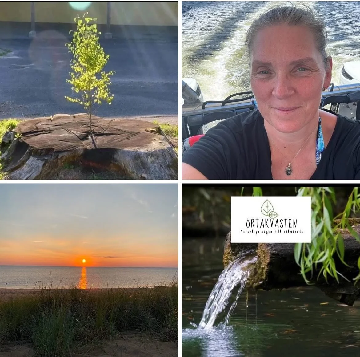 V&auml;lkommen till &Ouml;rtakvasten &ndash; Naturlig l&auml;kekonst f&ouml;r kropp, sj&auml;l &amp; sinne
Jag heter Nathalie Folkunger Hellkvist och hos mig hittar du handgjorda produkter fyllda med omtanke &ndash; allt fr&aring;n unika mangrover&ou