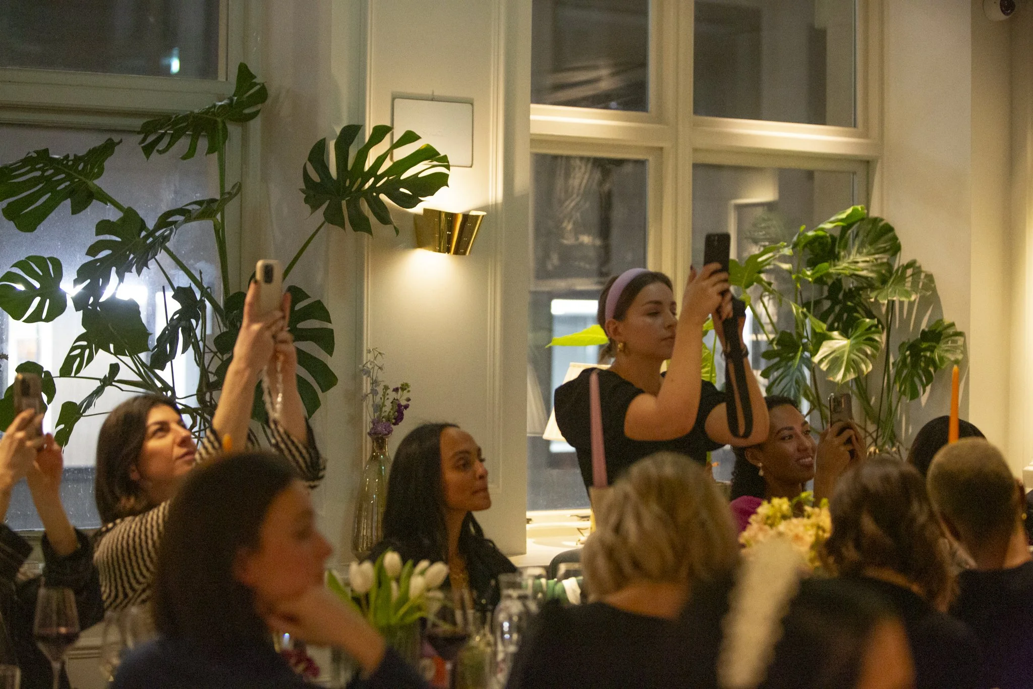 _a63_C1C1480 copy.jpg