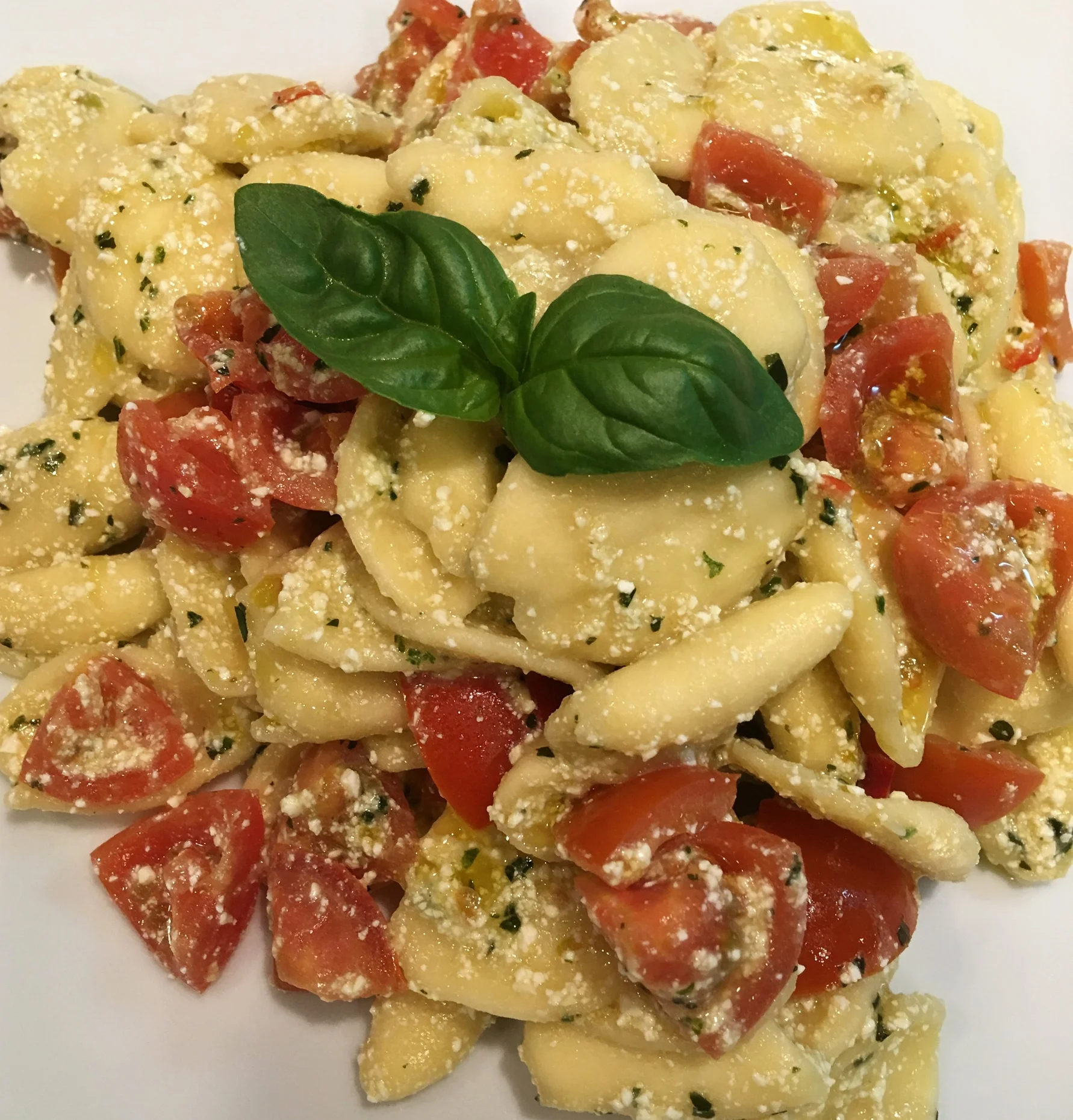 Orecchiette con Ricotta salata al Basilico e Pomodorini