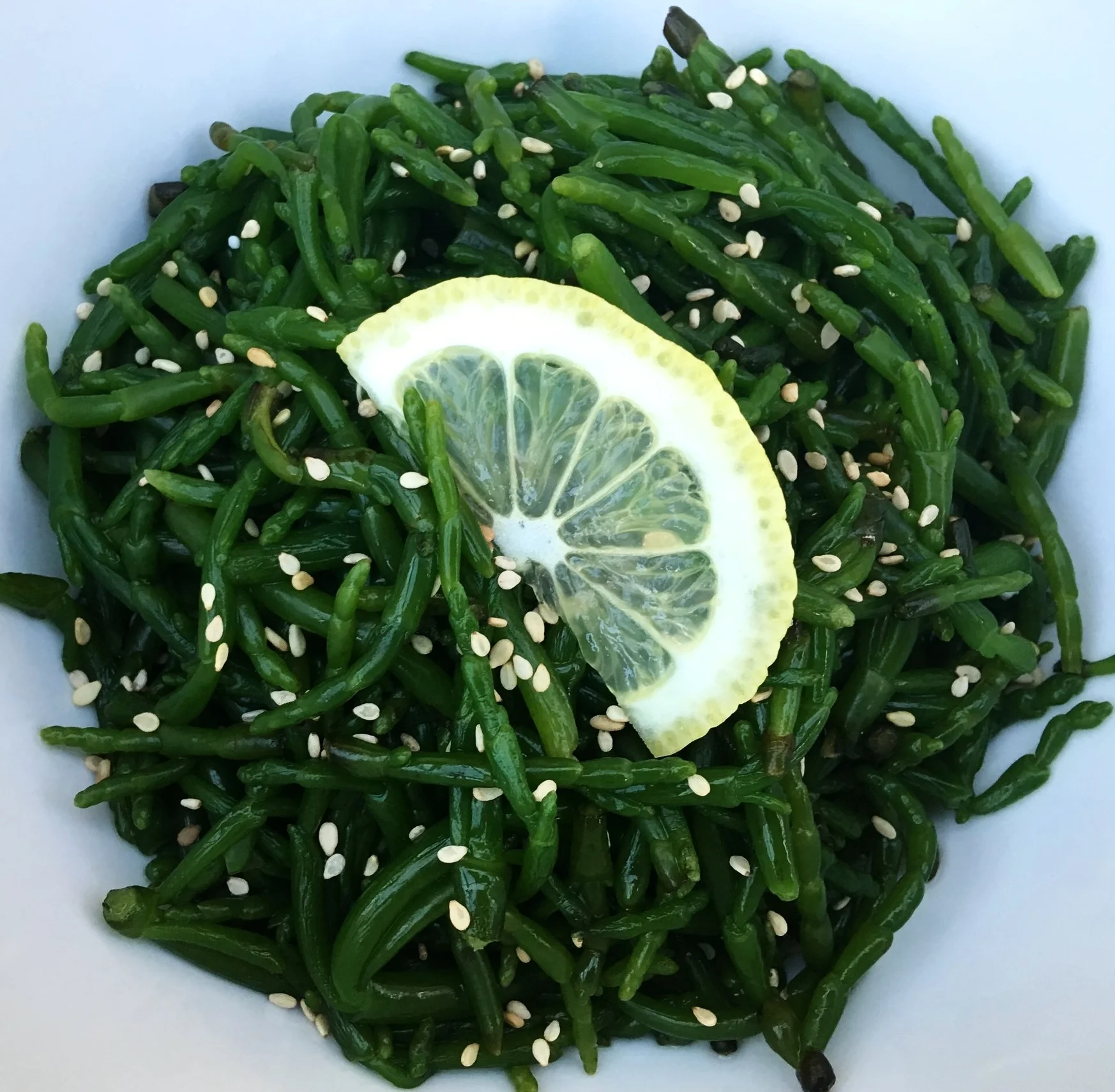Salicornia in insalata
