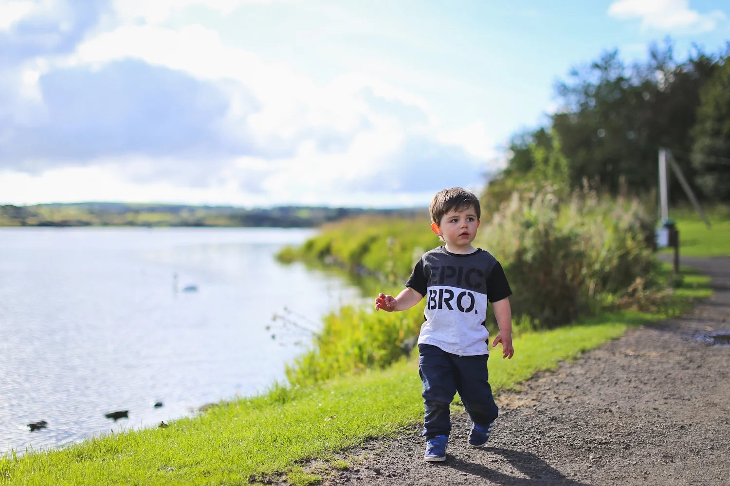 IMG_6806_Jack_Molly_and_Harry-Rachael_Sture_Photography_1-10-16_.jpg