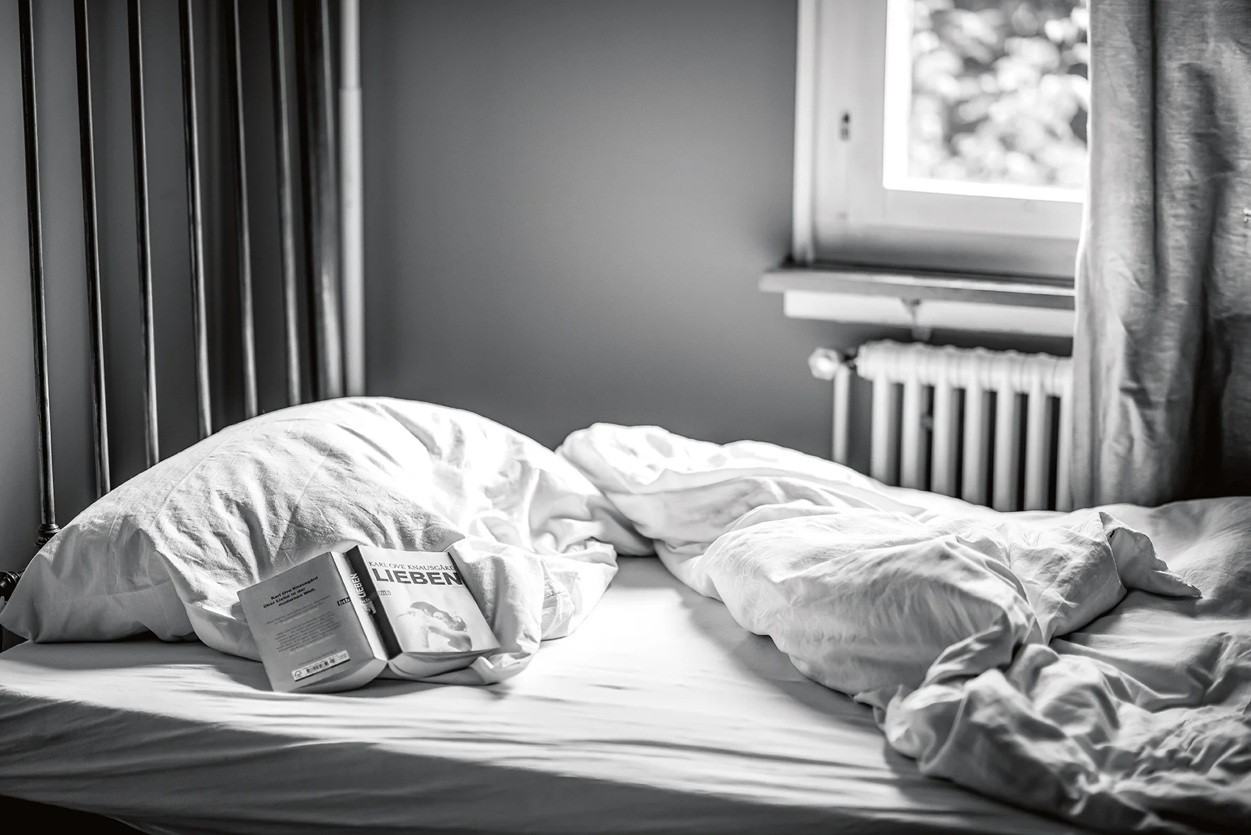 Unmade_Bed_of_Love.jpg