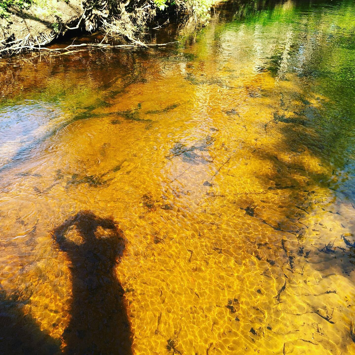 &ldquo;My wish is to stay always like this, living quietly in a corner of nature&rdquo;.
Claude Monet

#nature #naturelovers #ecostyle #organic #organiclifestyle #colors #estonia #earth #motherearth #ourplanet #spring #river #naturephotography #yello