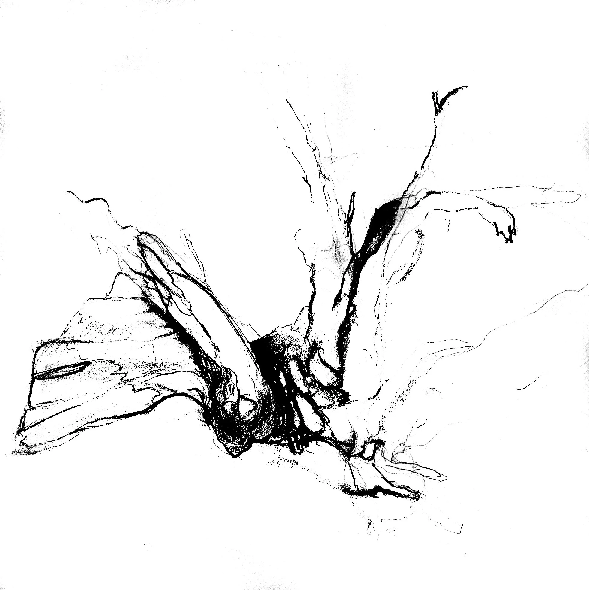 Rootless 2009