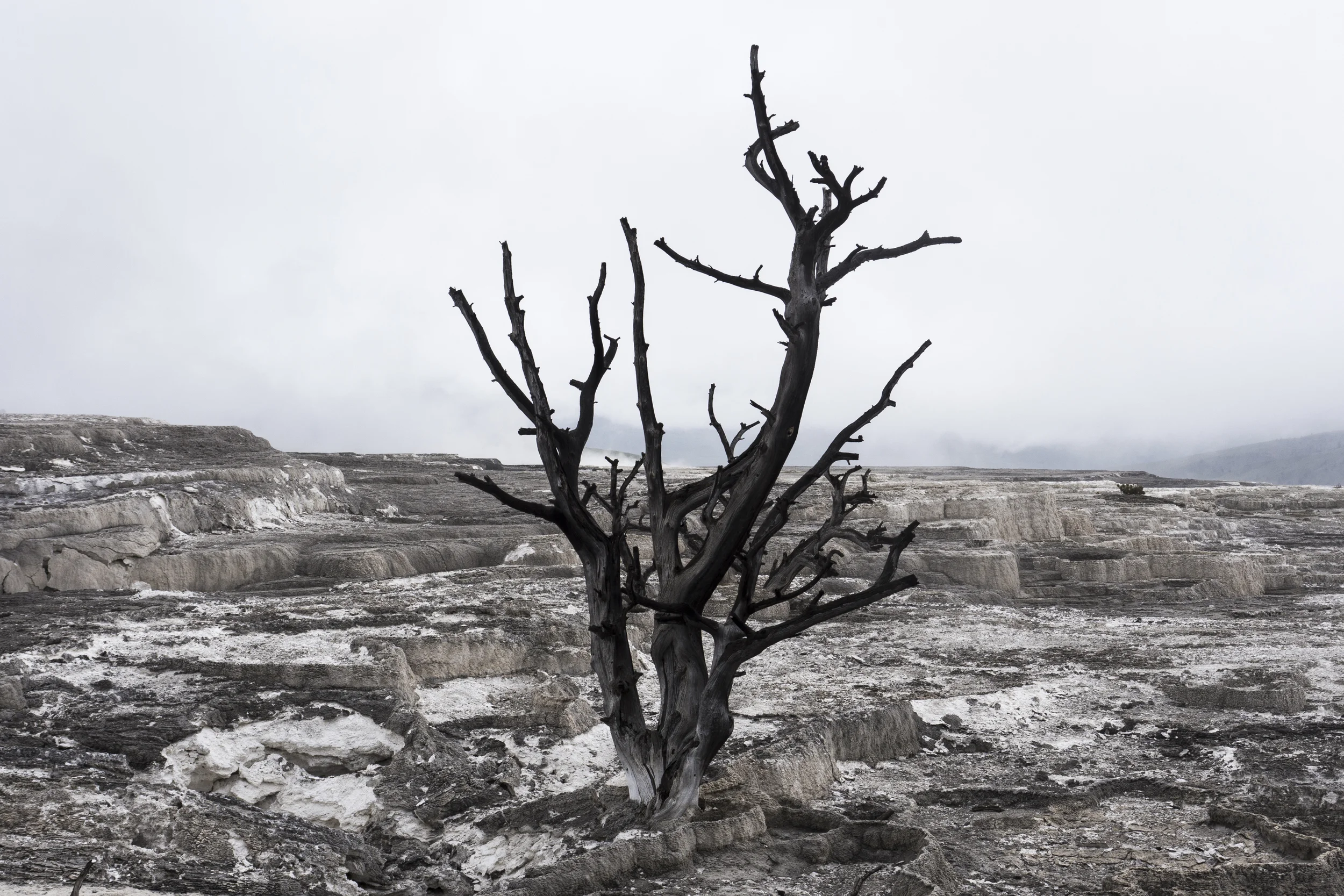 Mammoth Hot Springs, Yellowstone, 2016, Panasonic GH4.