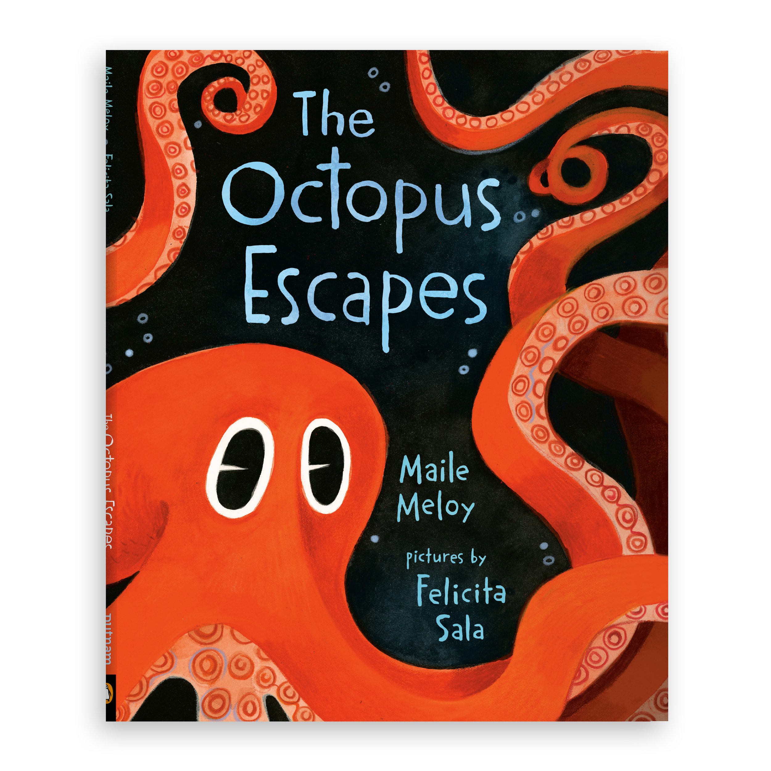 The Octopus Escapes