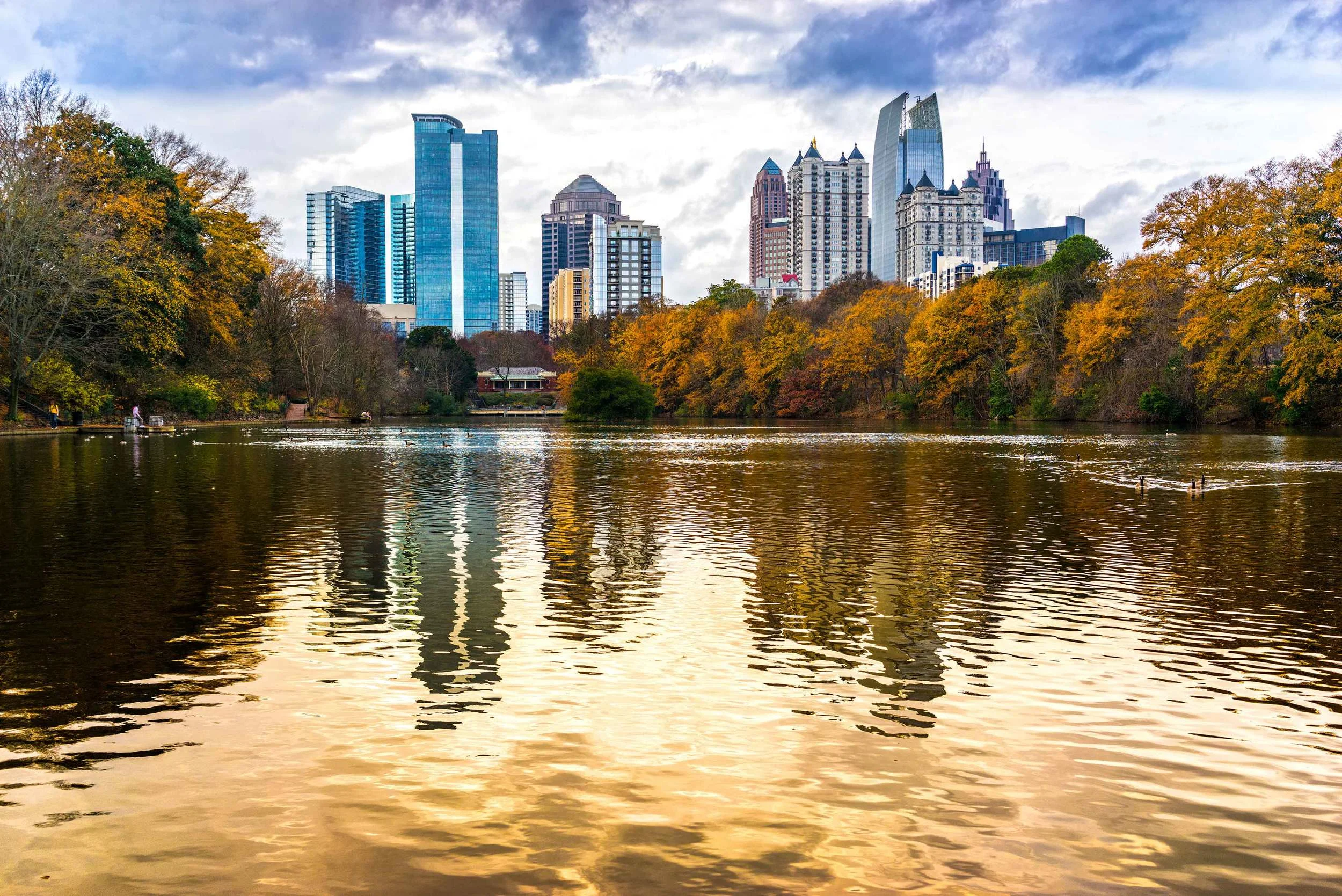AdobeStock_59738640.jpg