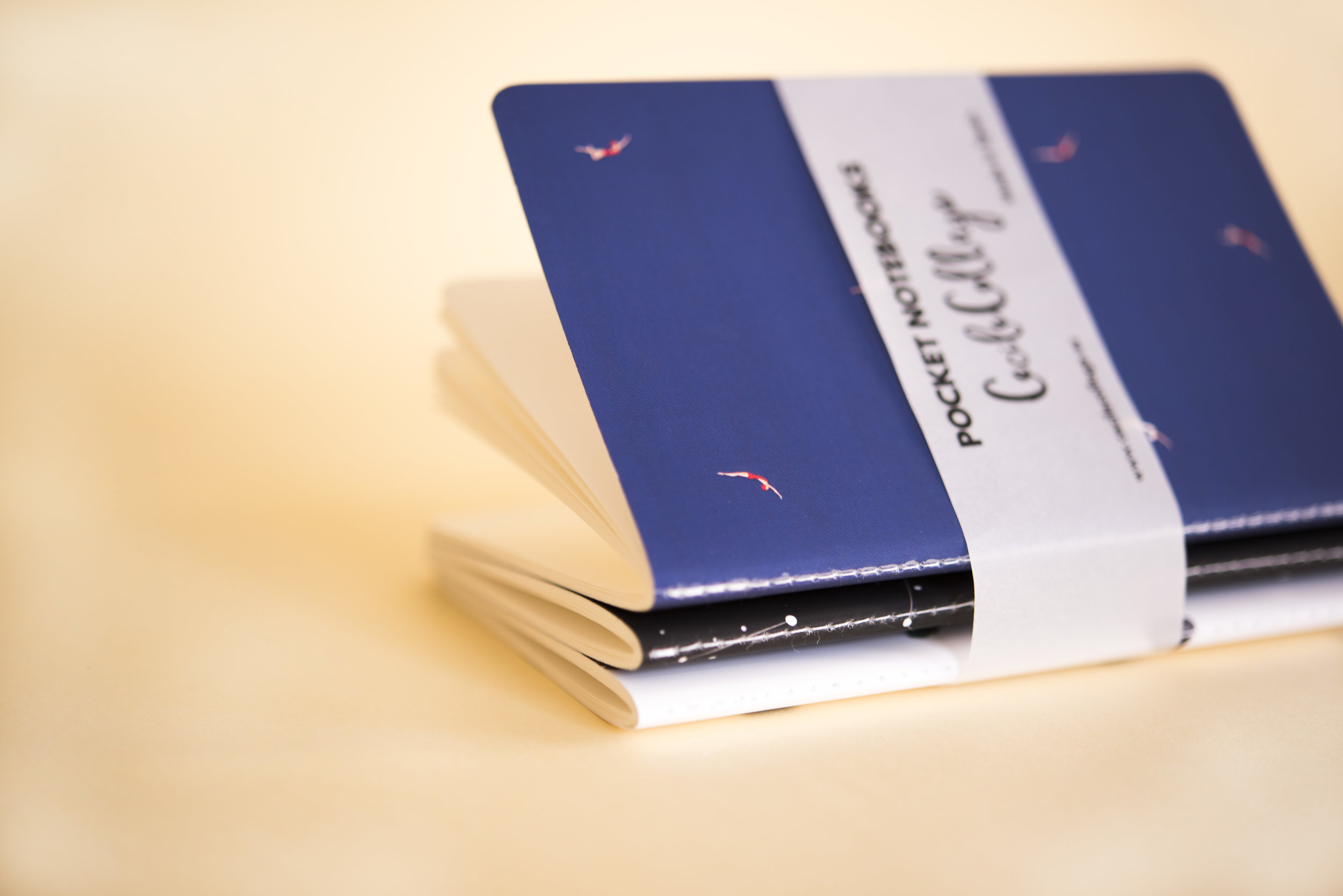 LibretasCC_Batabasta2.jpg