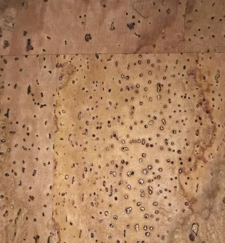 Vegan 4.jpg