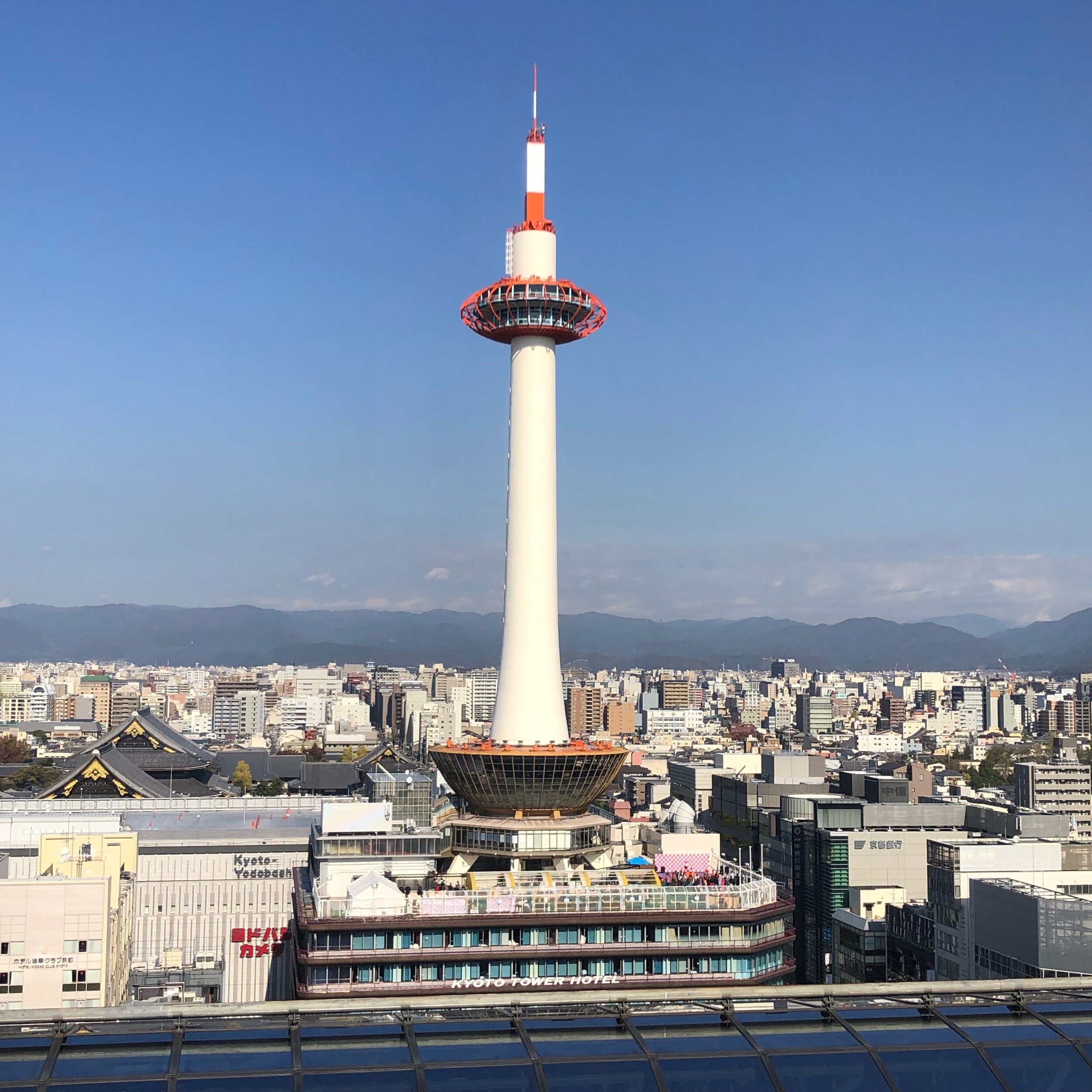 IMG_2696.jpeg