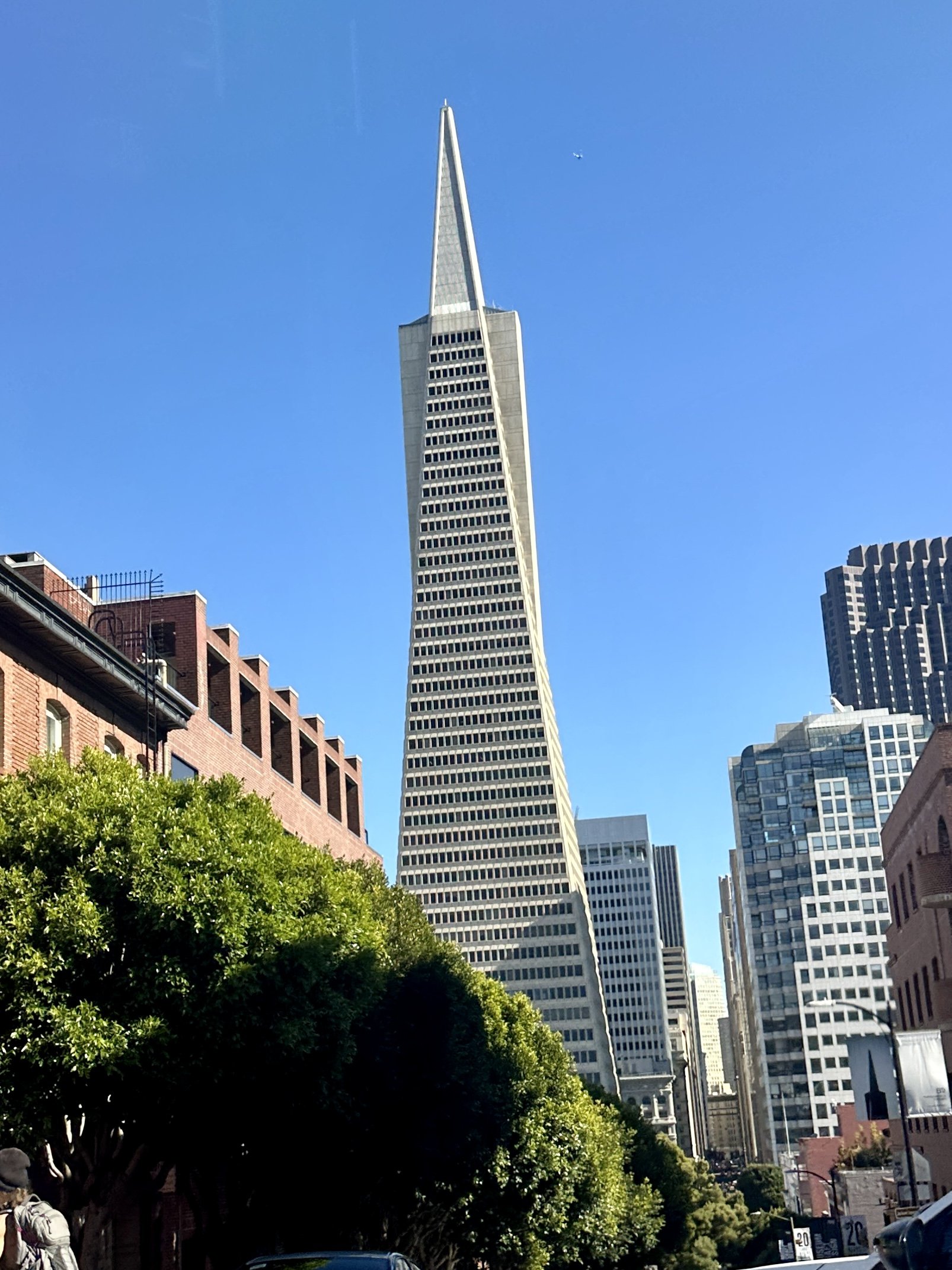 IMG_7583.jpeg