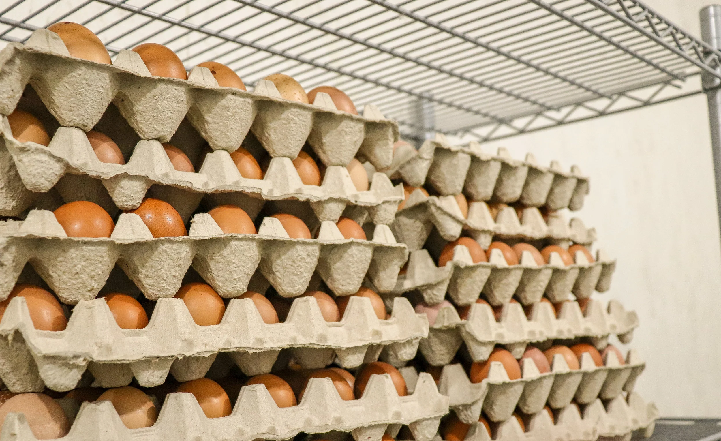 Cooler Eggs 2 - Medium.jpg