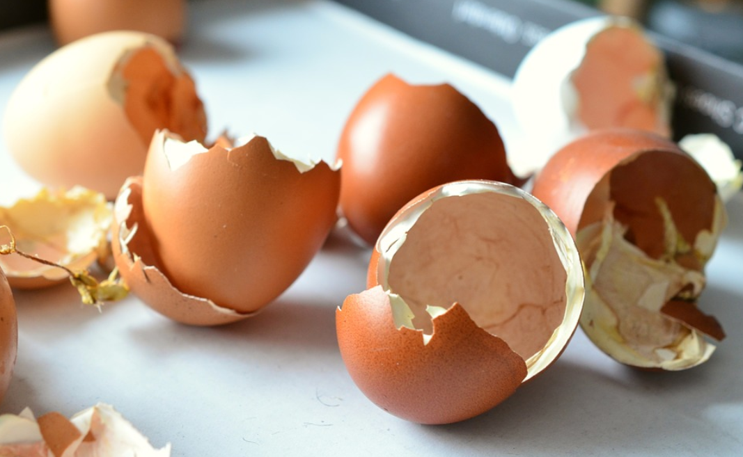 Five Ways to Repurpose Your Eggshells