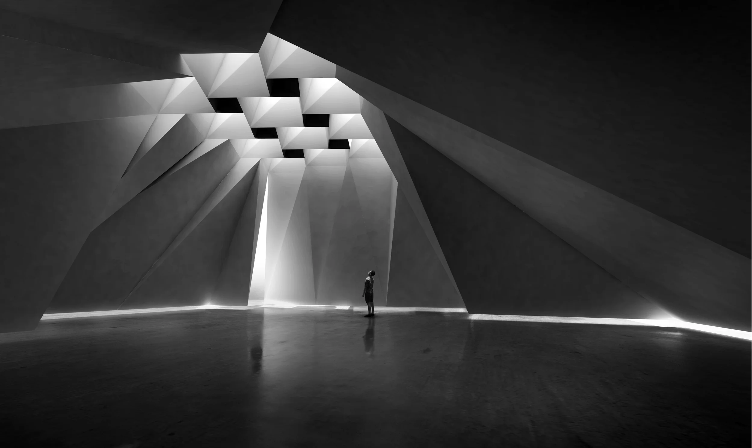 Khoa Vu | The White Forest | UC Berkeley