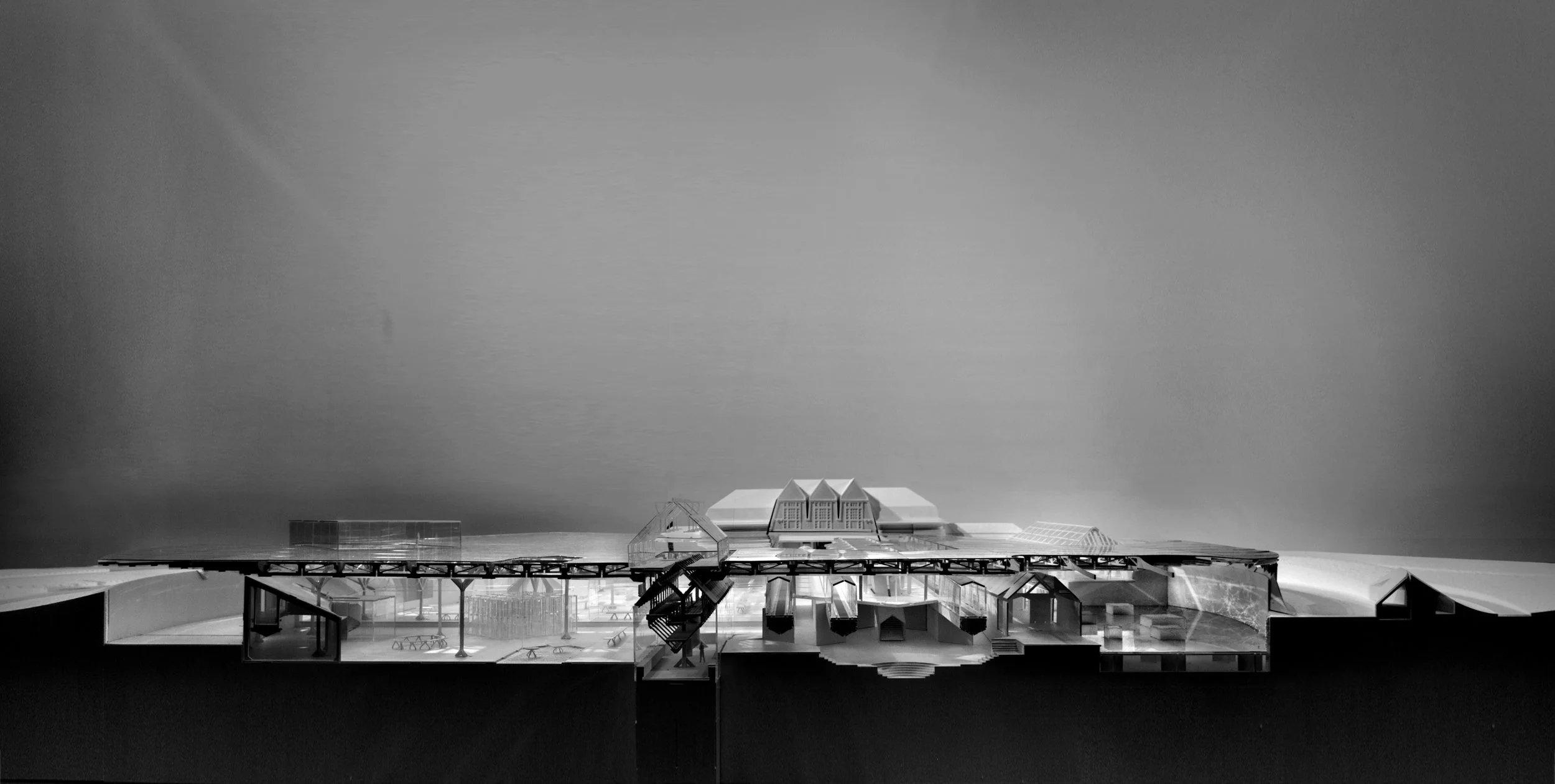 Grayscale_Khoa Vu_Section FN_BW_Extend.jpg