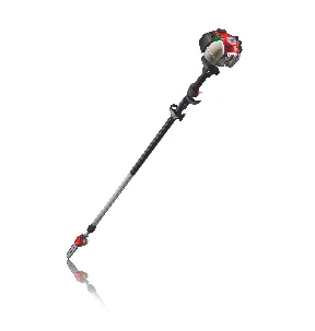 Pole Saw.jpg