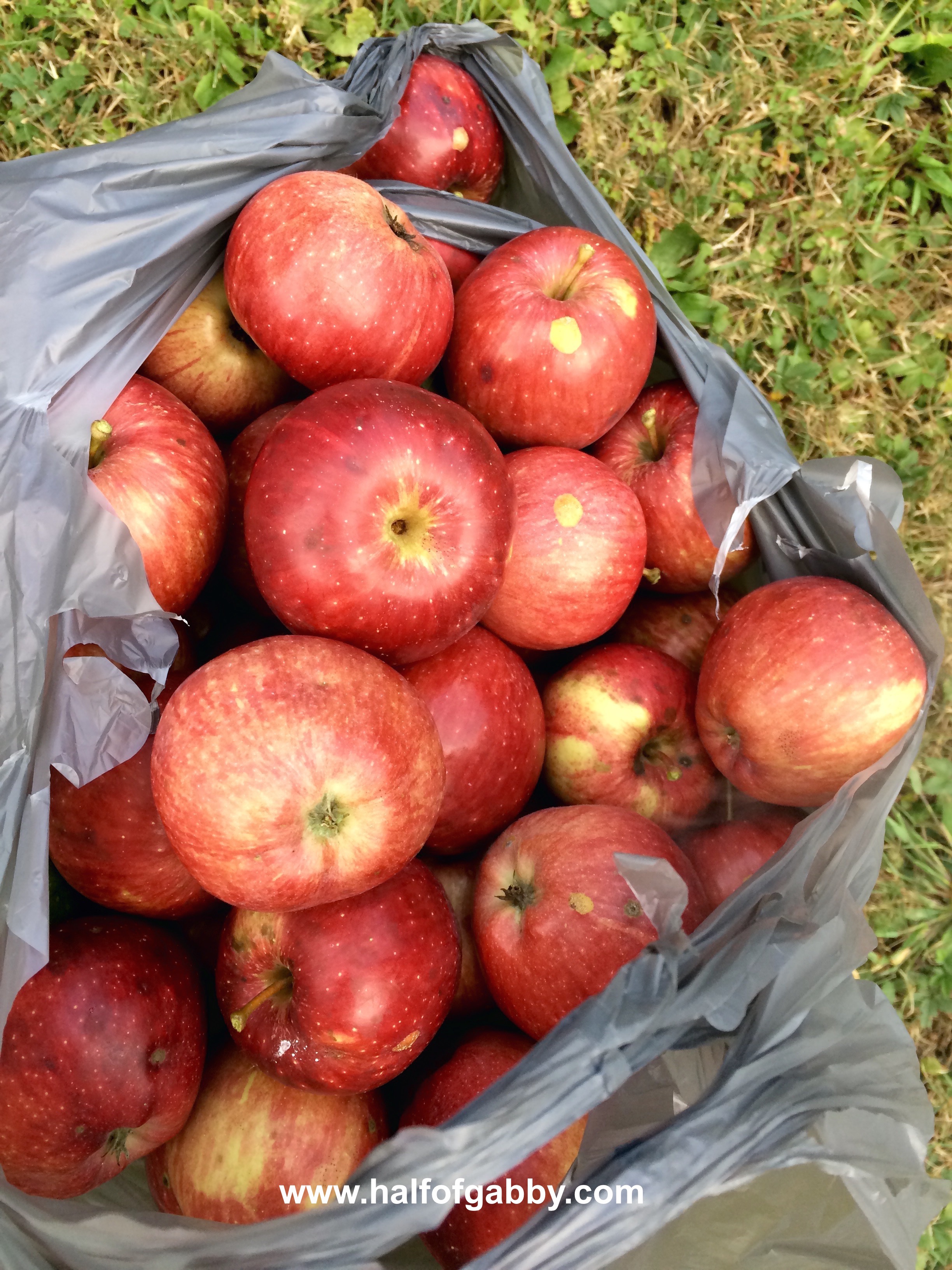 CROCKPOT CINNAMON APPLESAUCE No Sugar Added! — Half of Gabby
