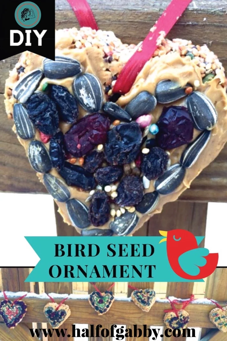 BIRD SEED ORNAMENTS: Feed the Birdies!