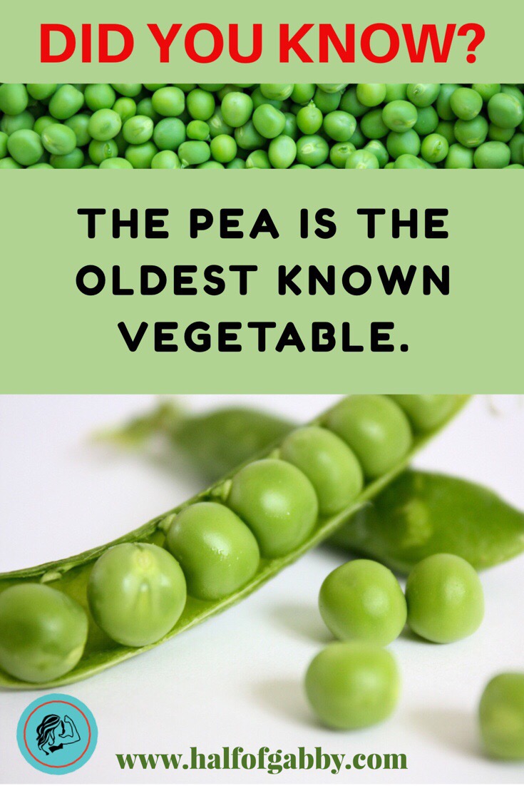 The oldest known vegetable.