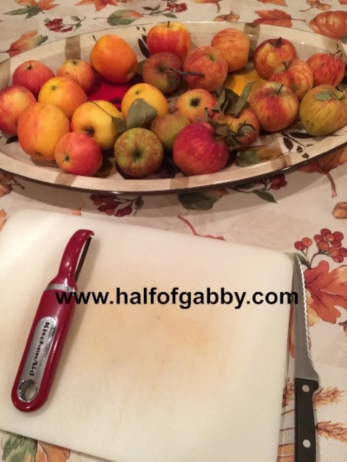 CROCKPOT CINNAMON APPLESAUCE No Sugar Added! — Half of Gabby